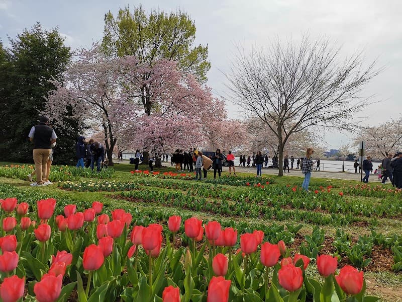 Floral Library image 3