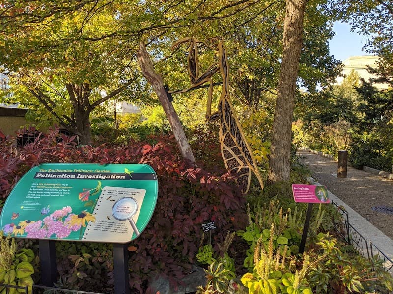 Smithsonian Pollinator Garden image 3