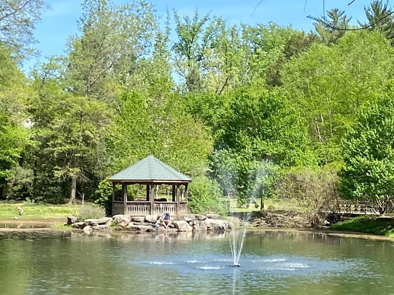 Green Spring Gardens image 4