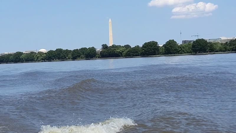 City Cruises Alexandria Water Taxi - Boat Tours