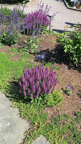 Smithsonian Pollinator Garden - Gardens