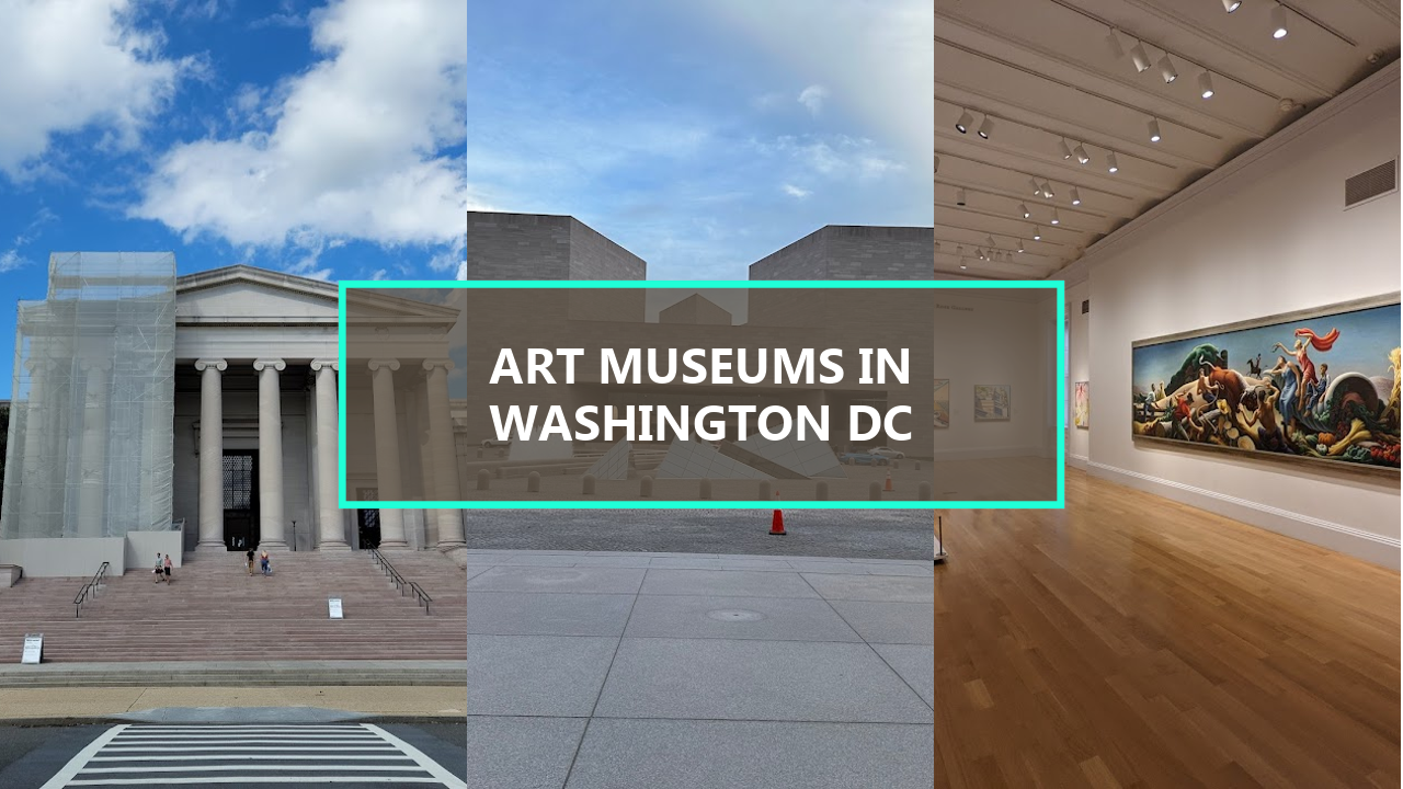 15+ BEST Art Museums In Washington DC: Discover Hidden Gems Worth Exploring This Year