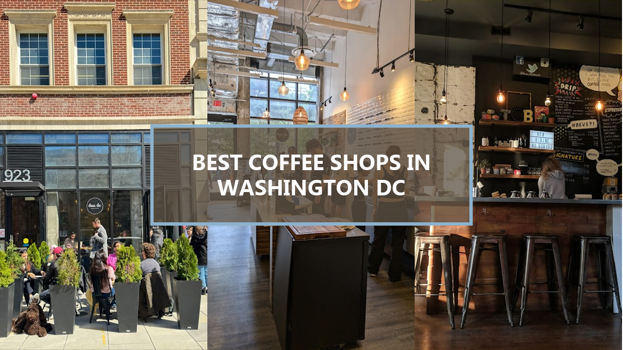 17+ BEST Coffee Shops in Washington DC: Discover Hidden Gems to Satisfy Your Caffeine Cravings