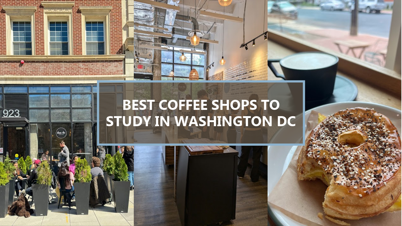 17+ BEST Coffee Shops To Study In Washington DC: Explore These Hidden Gems Before They’re Gone