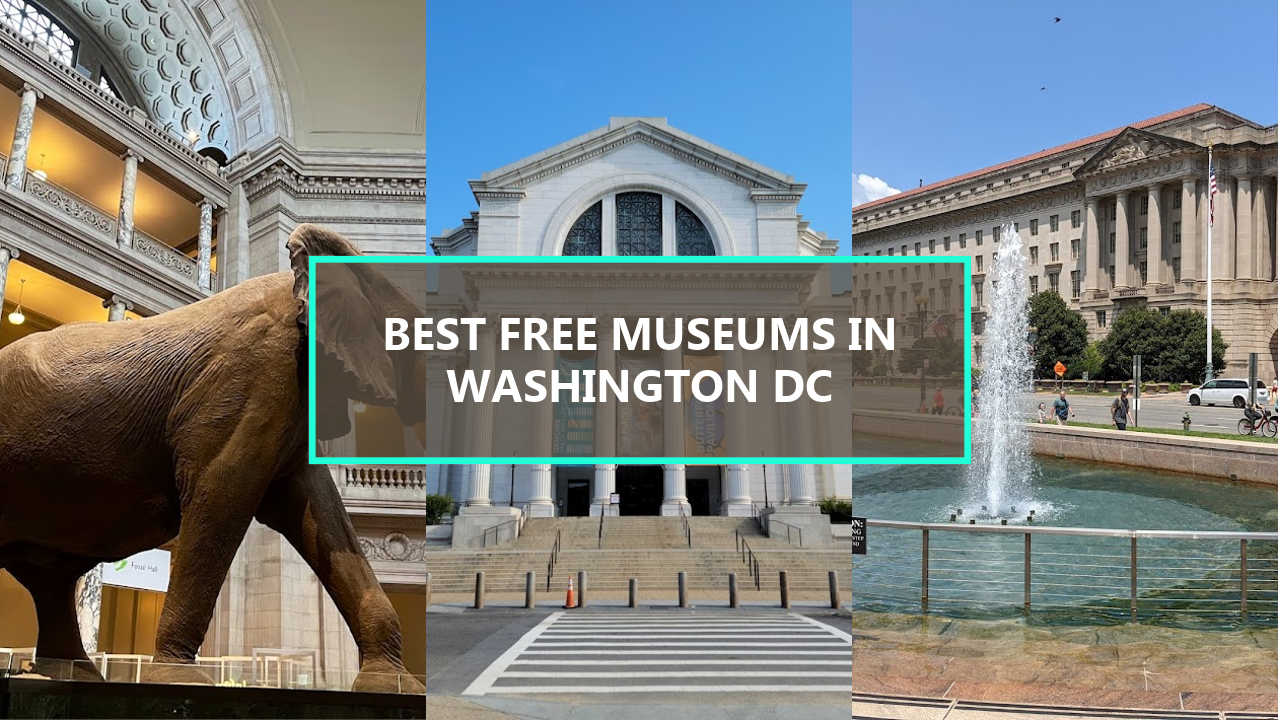 20 BEST Free Museums in Washington DC You Should Explore Today