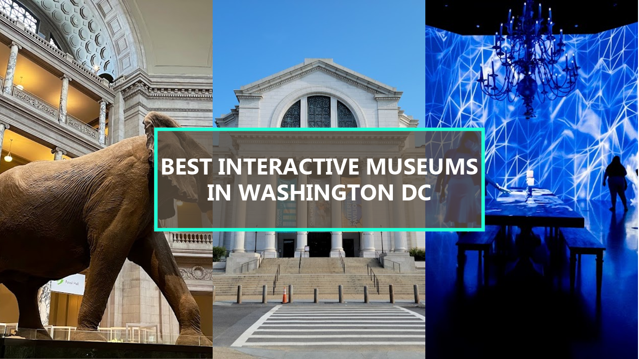 17+ BEST Interactive Museums in Washington DC: Explore These Hidden Gems Before They’re Gone