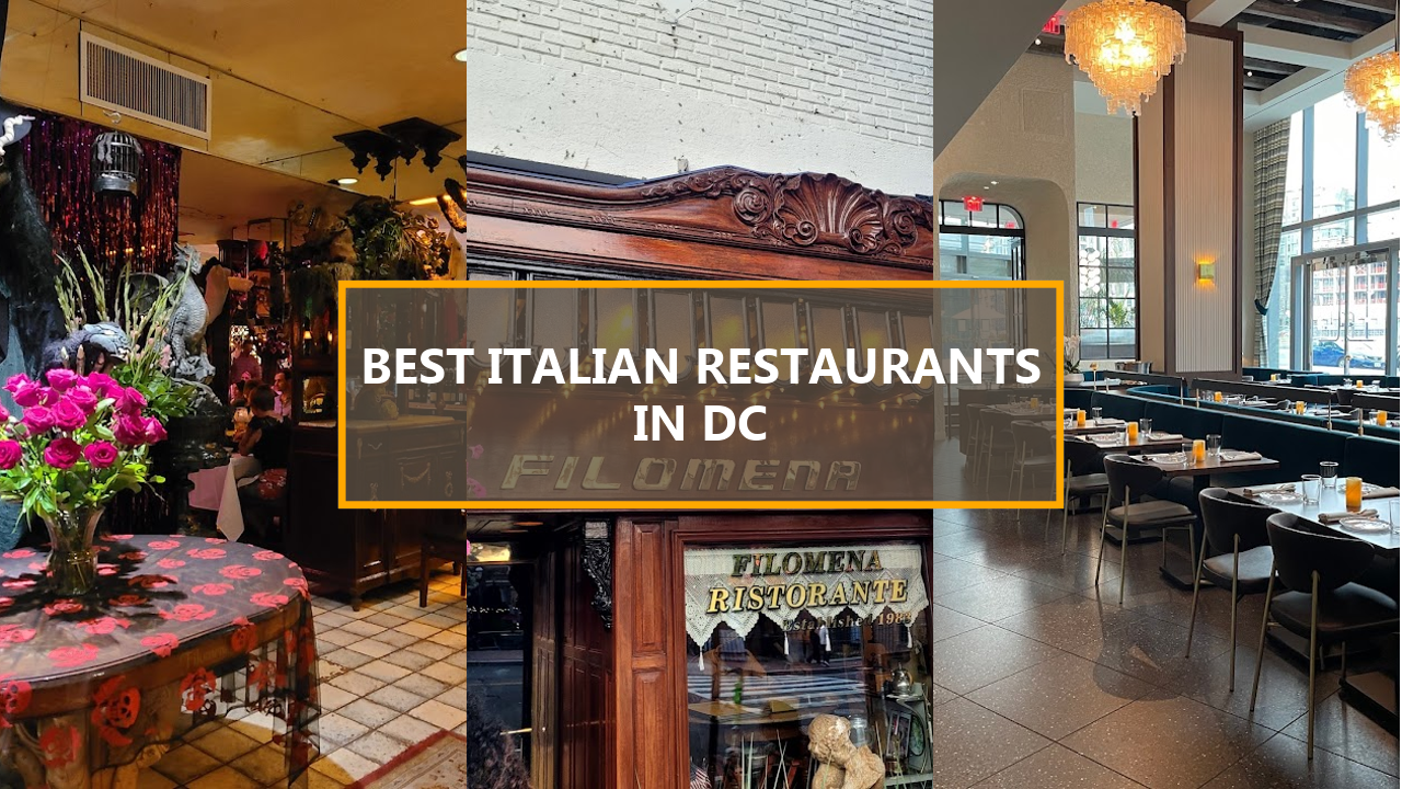 15+ BEST Italian Restaurants in Washington DC: Explore These Hidden Gems Before They’re Booked Up!