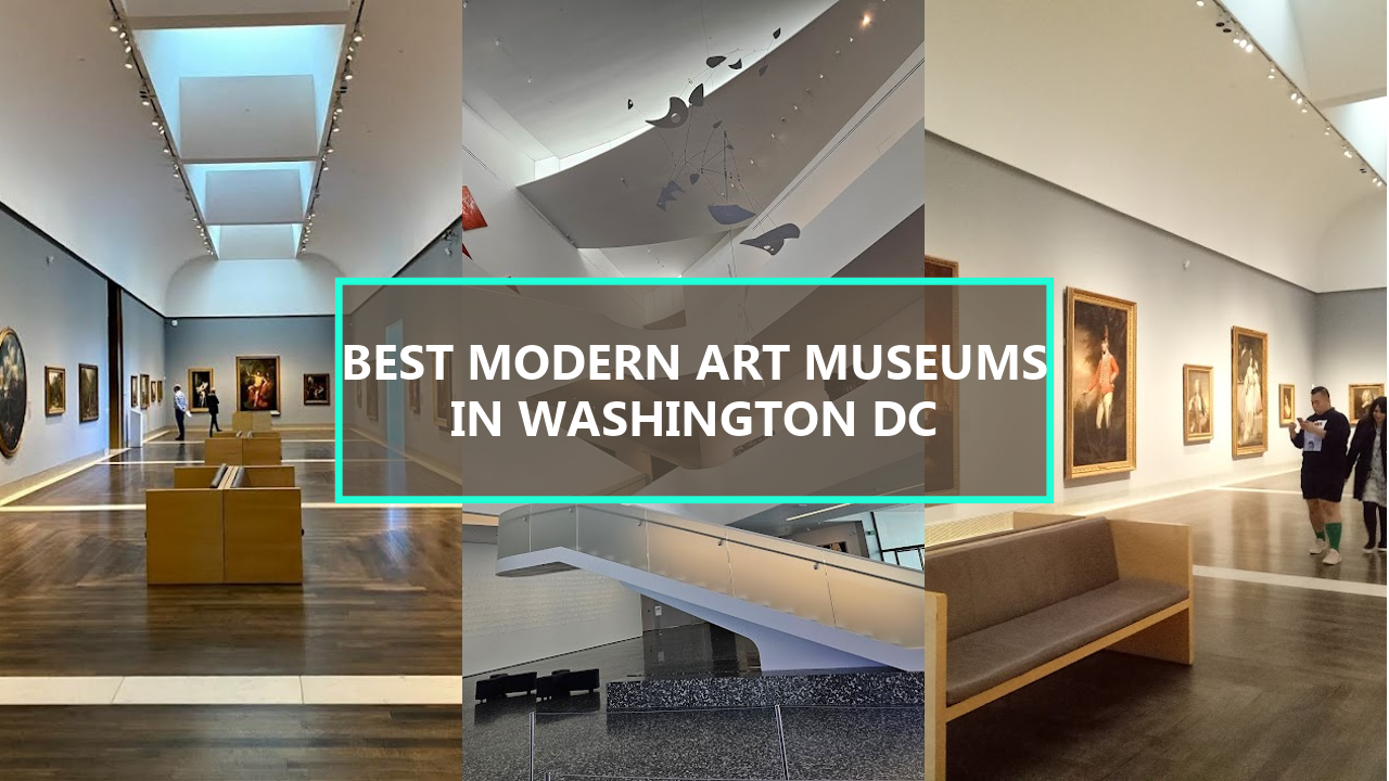 17+ BEST Modern Art Museums in Washington DC: Explore the Hidden Gems That Locals Swear By