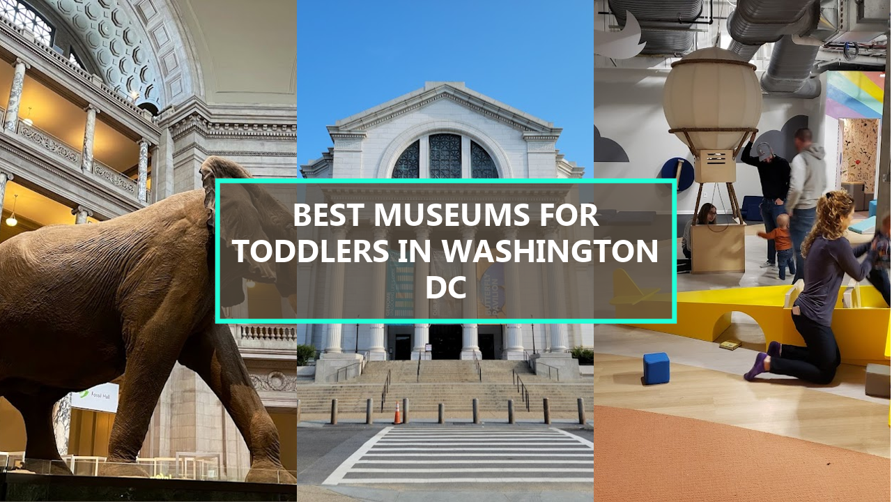 5+ BEST Museums For Toddlers In Washington DC: Explore These Engaging Spaces Before They’re Gone!