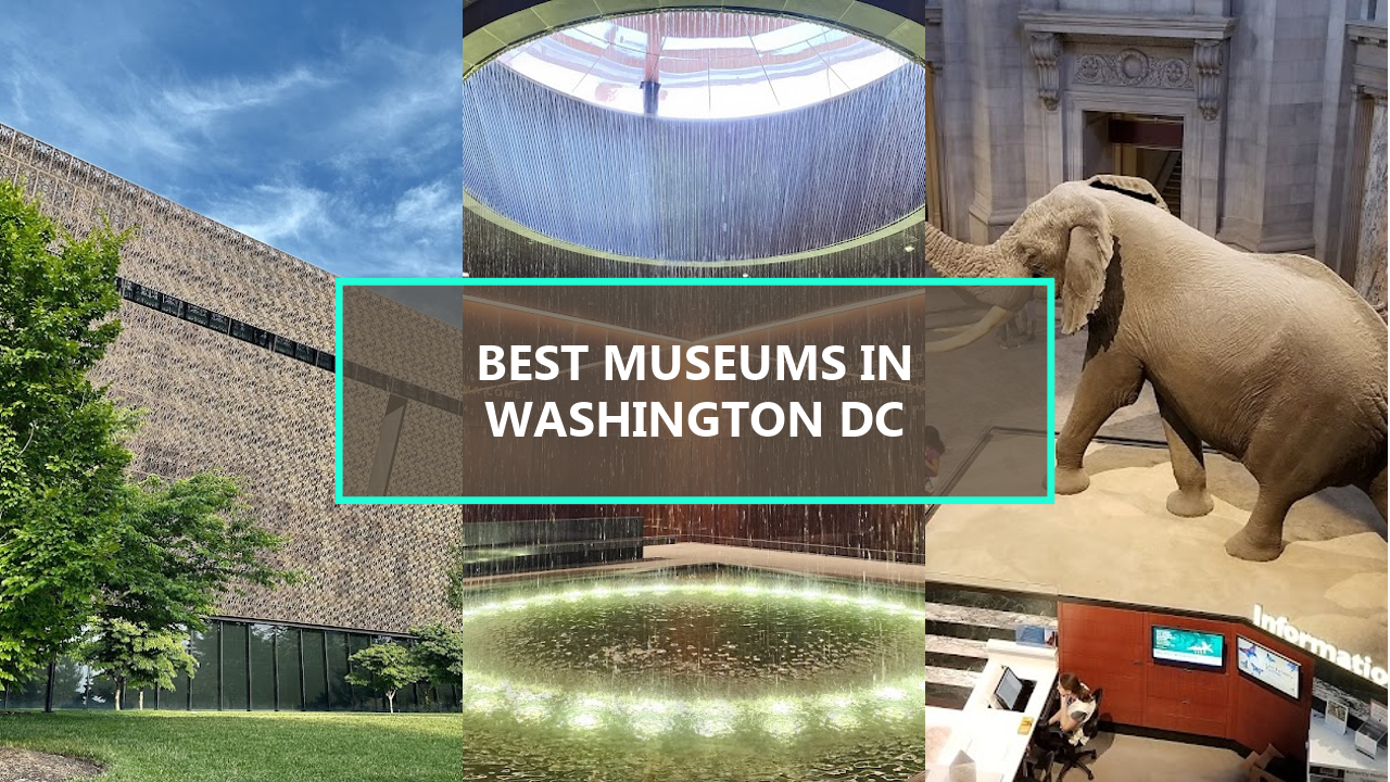 15+ BEST Museums In Washington DC: Explore These Hidden Gems Before They’re Gone