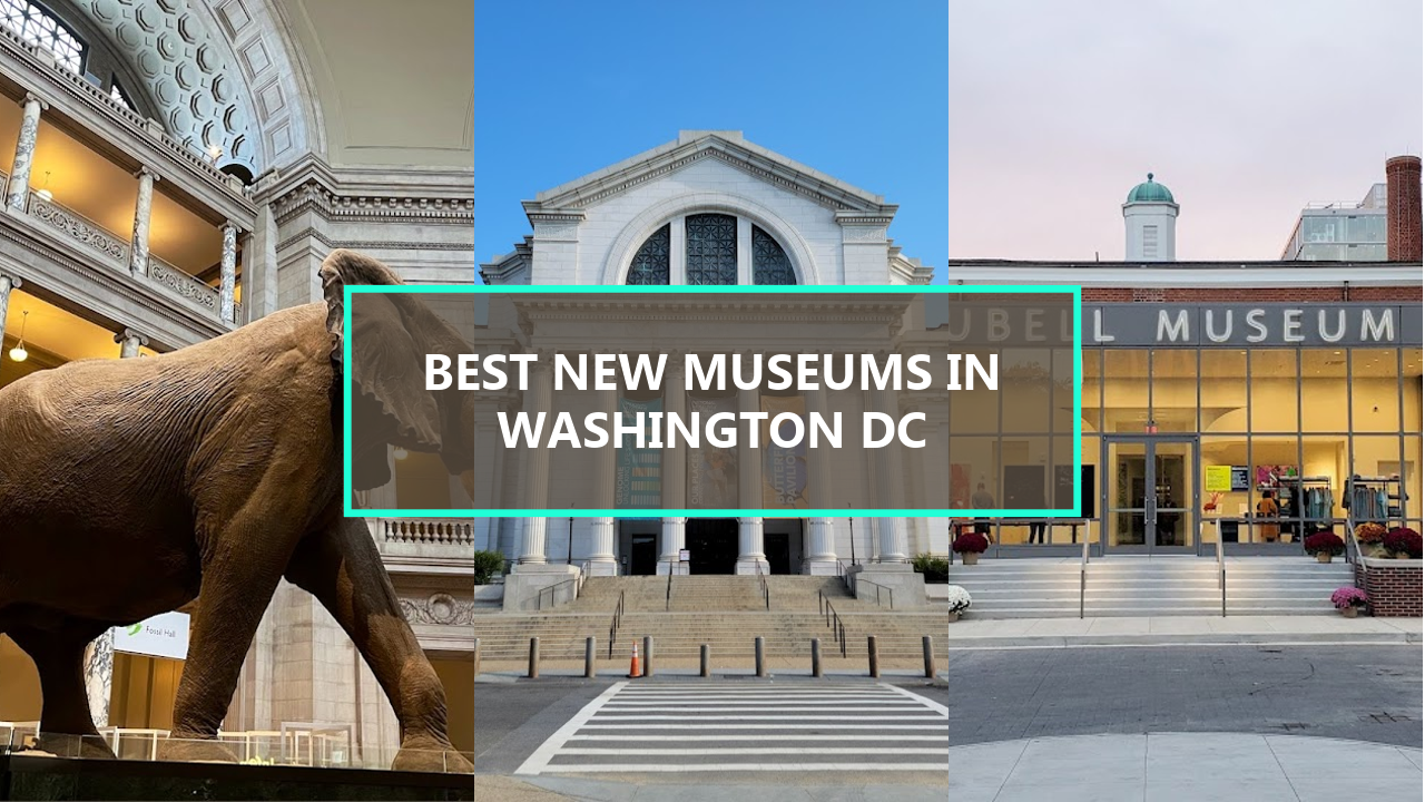 17+ BEST New Museums in Washington DC: Explore These Hidden Gems Before They’re Gone