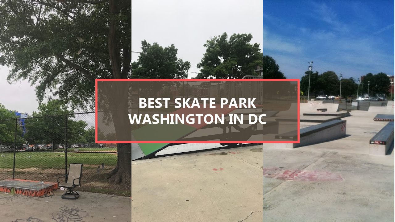 15+ BEST Skate Parks in Washington DC: Explore These Hidden Gems Before They’re Gone