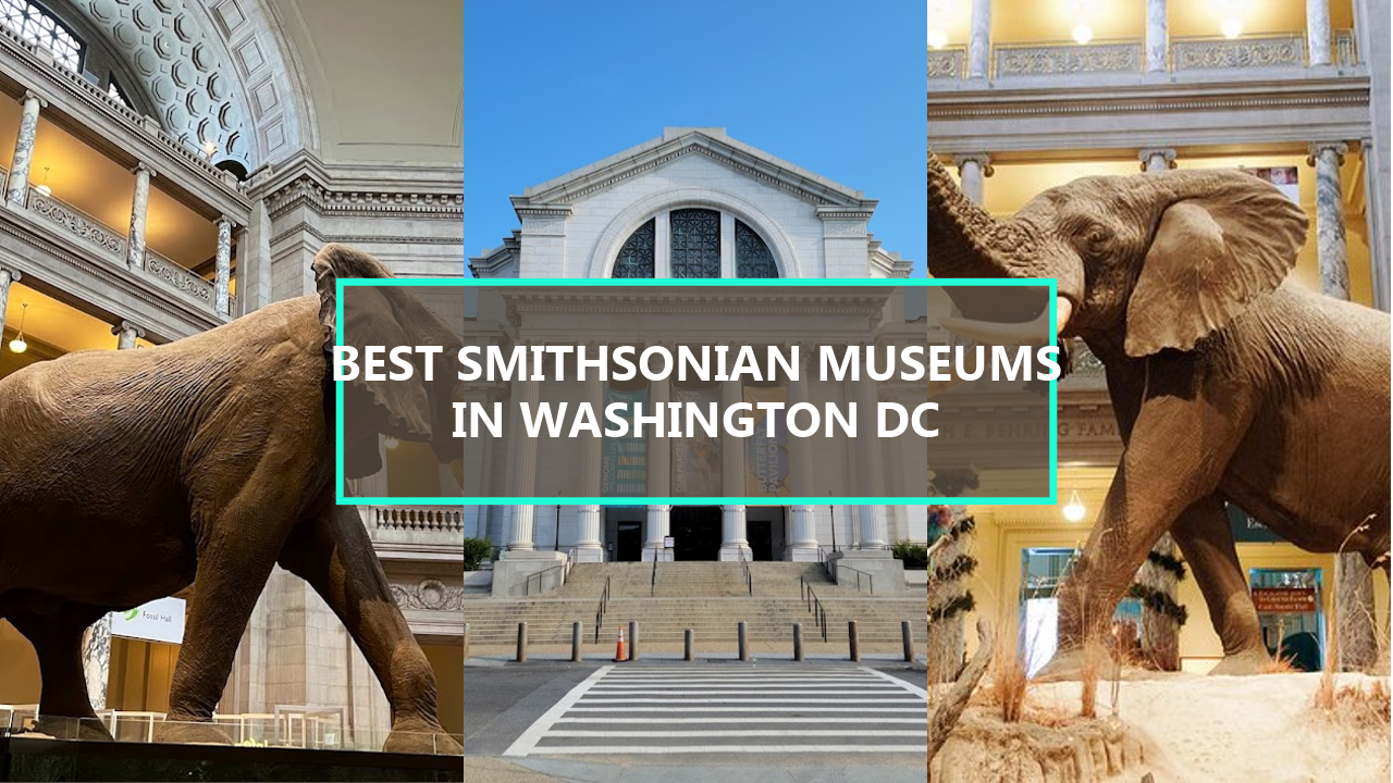 20 BEST Smithsonian Museums in Washington DC: Explore These Hidden Gems Before They’re Gone!