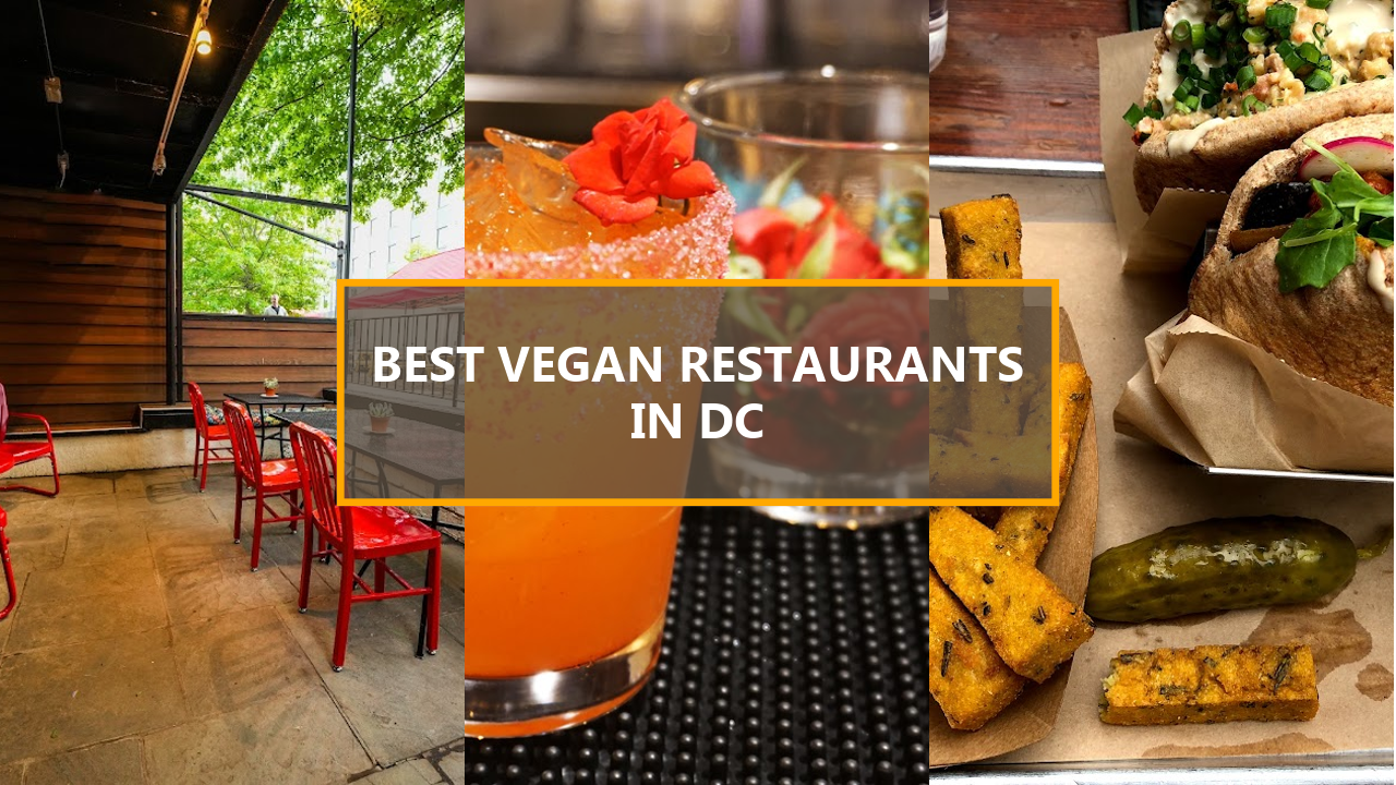 20 BEST Vegan Restaurants in Washington DC: Explore These Hidden Gems Before They’re Gone!