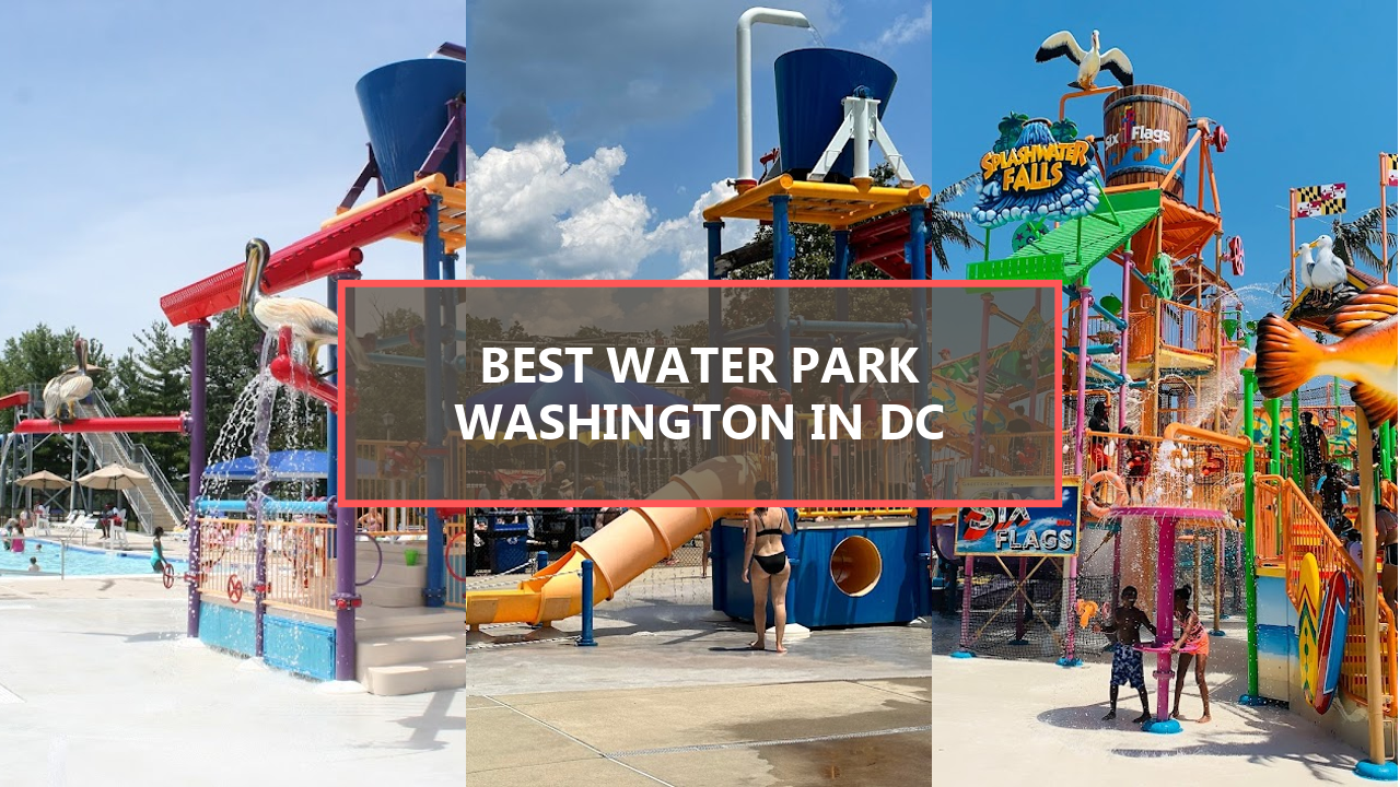 15+ BEST Water Parks in Washington DC: Uncover the Aquatic Adventures for Summer Fun!