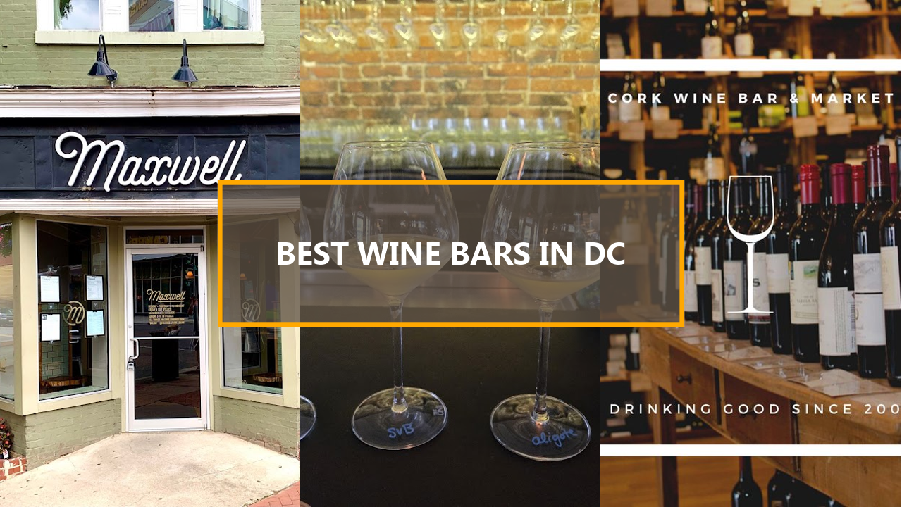 17+ BEST Wine Bars in Washington DC: Explore Their Unique Vibe Before They’re Gone