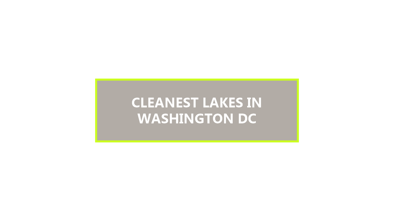 20 BEST Cleanest Lakes in Washington DC to Explore This Summer