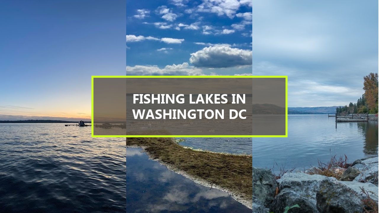 17+ BEST Fishing Lakes In Washington DC: Explore These Hidden Gems Starting from $126