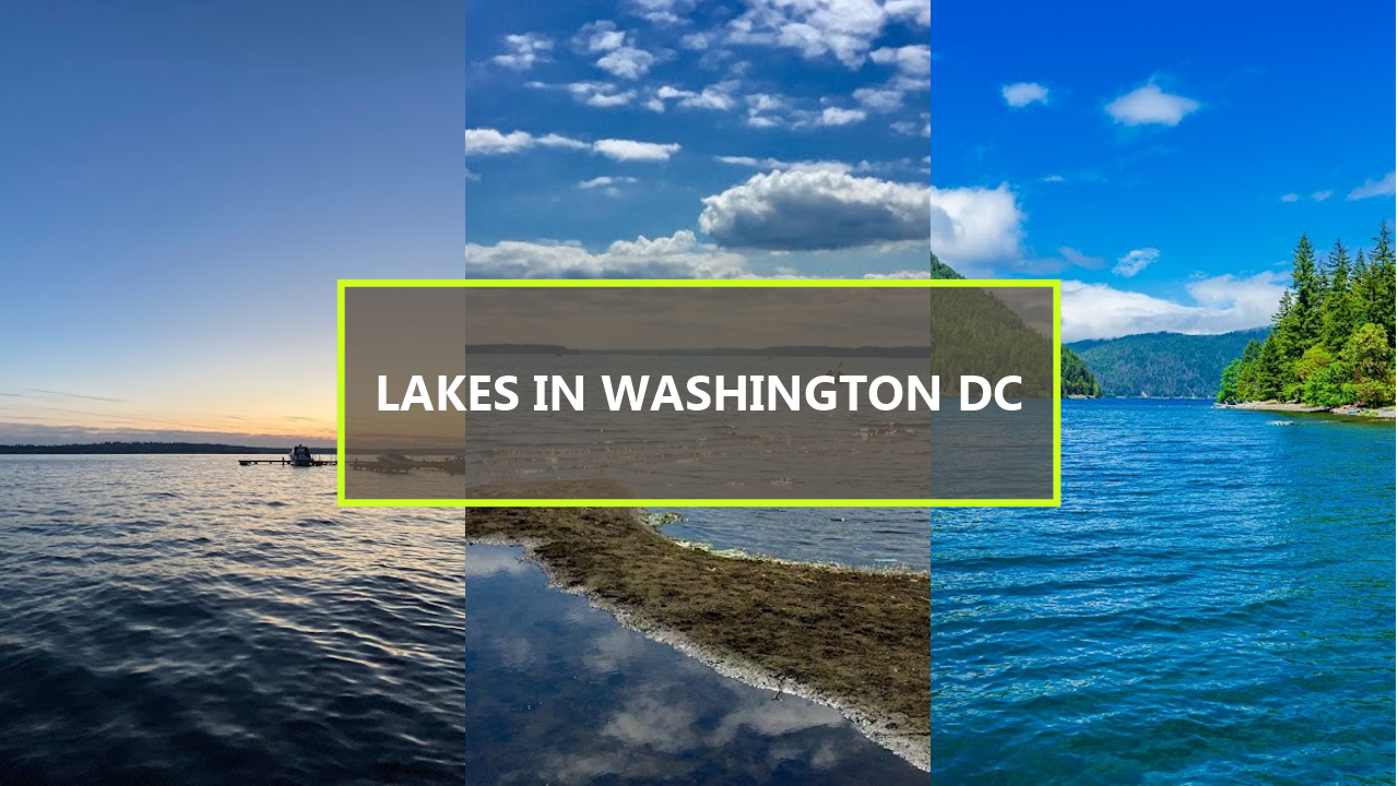 15+ BEST Lakes in Washington DC: Explore These Hidden Gems Starting from $126