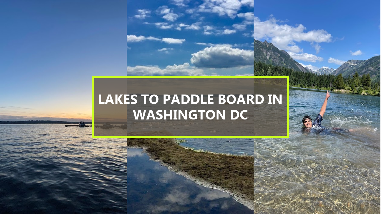 15+ BEST Lakes To Paddle Board In Washington DC: Explore Nature’s Serenity Starting from $126