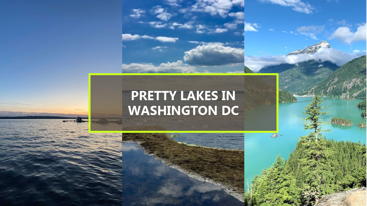 15+ BEST Pretty Lakes in Washington DC You Should Explore Before They’re Gone