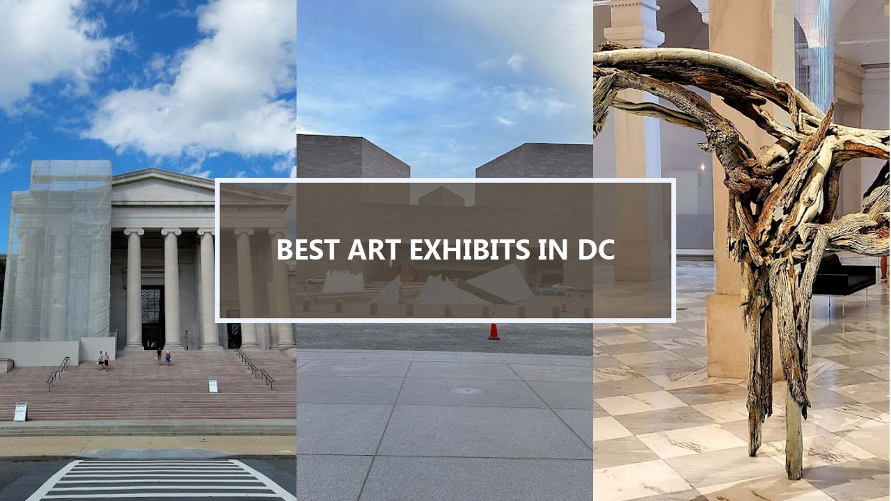 17+ BEST Art Exhibits in Washington DC: Discover Must-See Gems You Should Visit Before They’re Gone