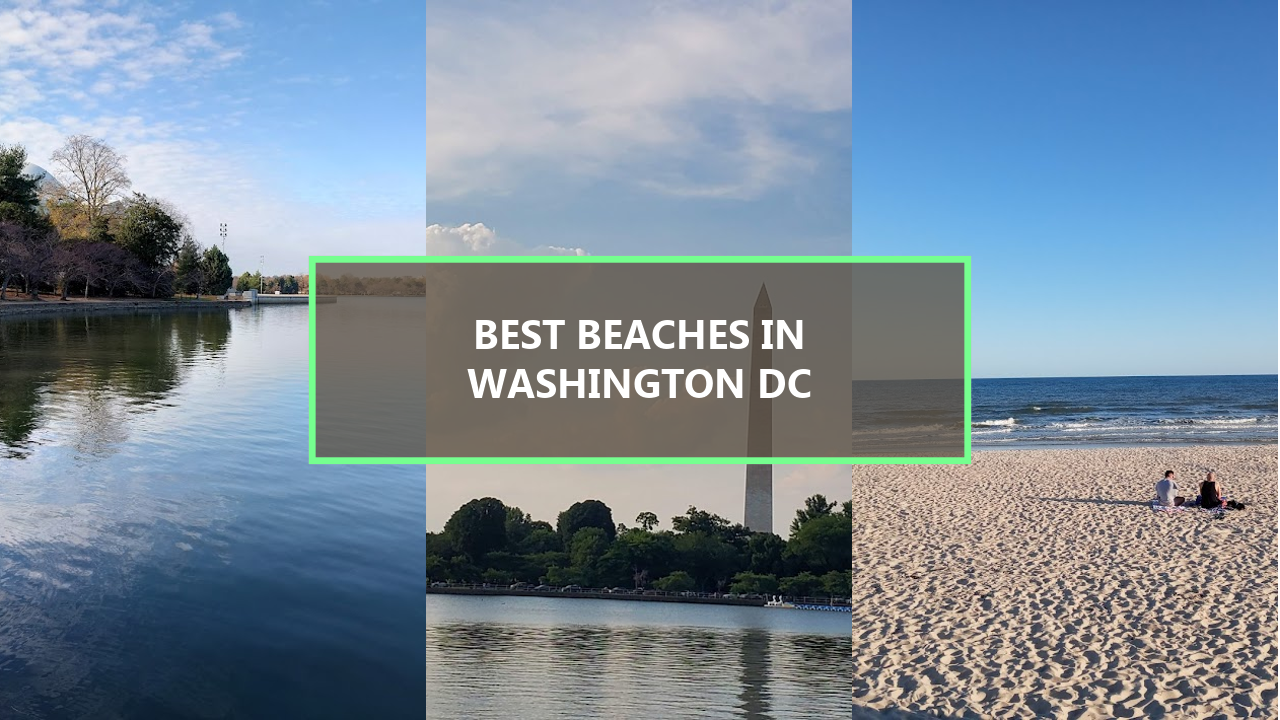 20 BEST Beaches in Washington DC: Explore These Hidden Gems Before They’re Gone