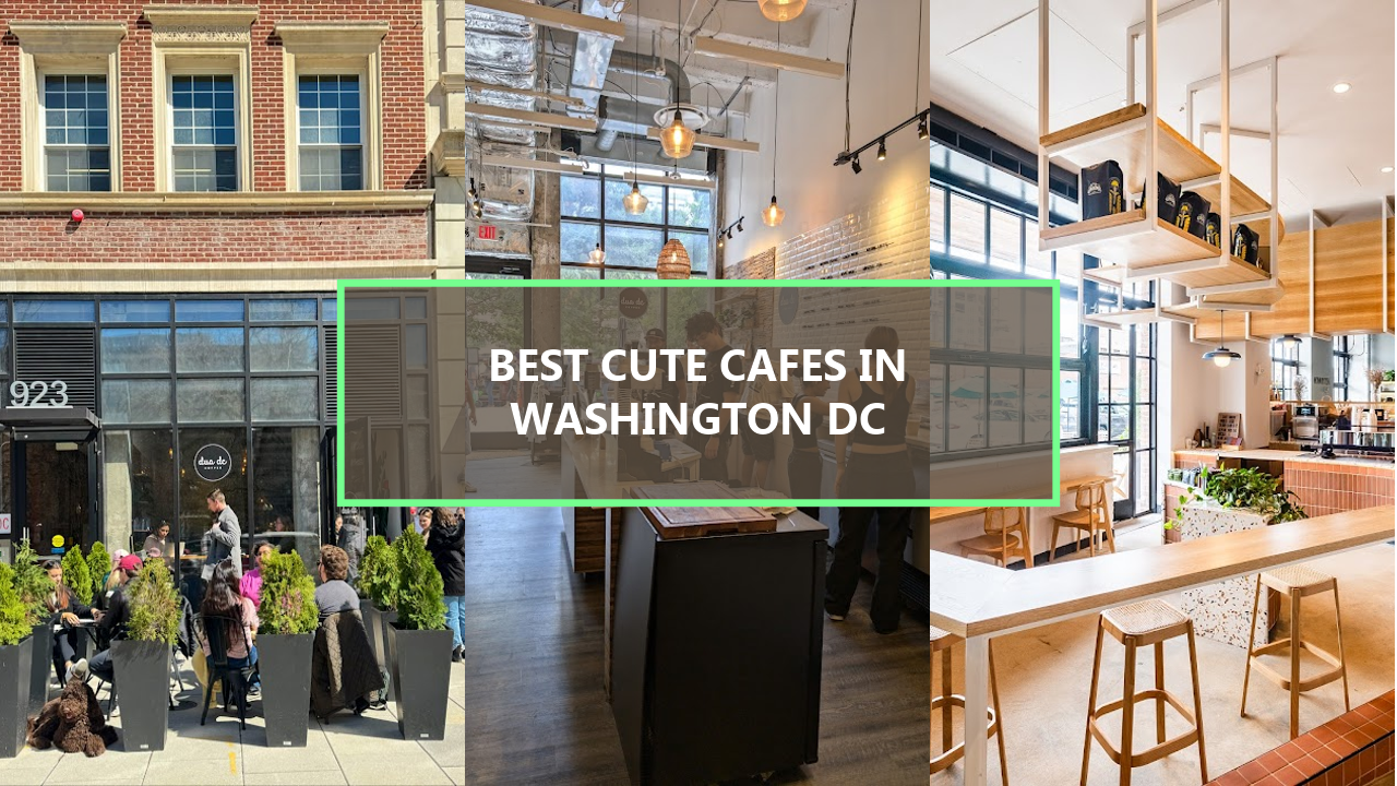 15+ BEST Cute Cafes in Washington DC You Should Visit Before They’re Gone