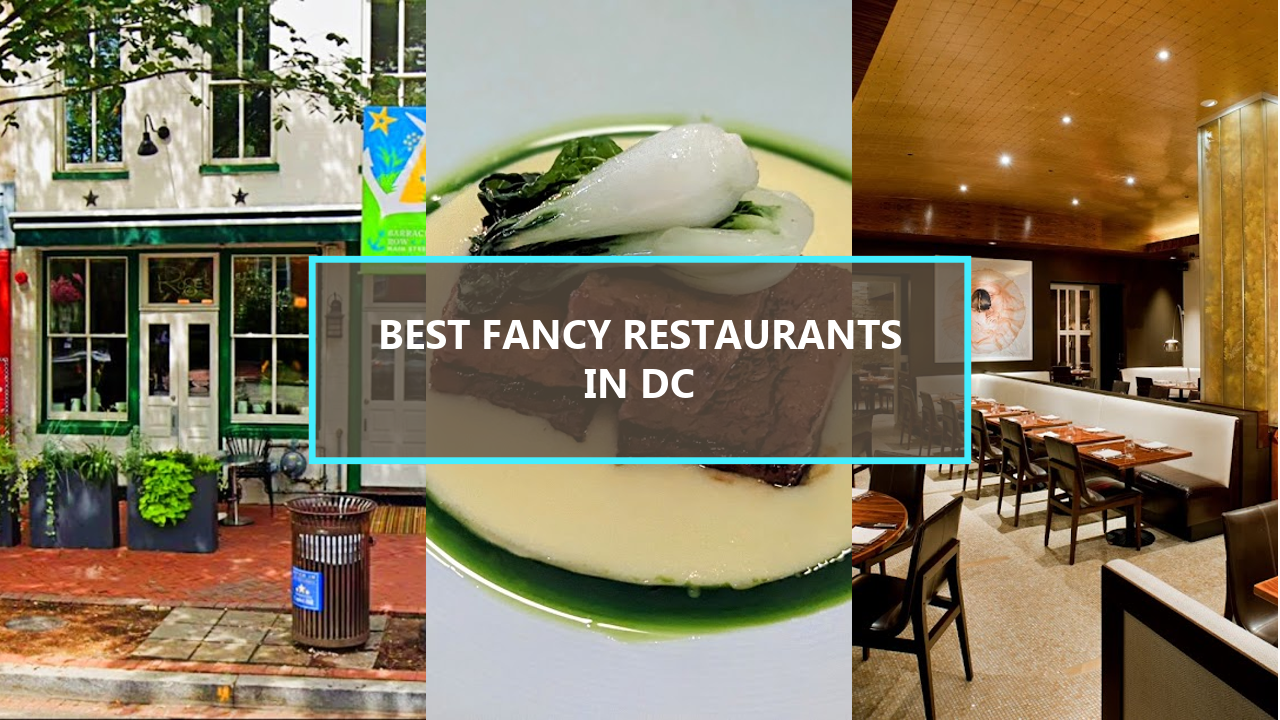 20 BEST Fancy Restaurants in Washington DC: Indulge in Culinary Excellence Starting from $150