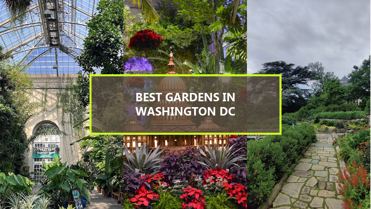 20 BEST Gardens in Washington DC: Explore These Hidden Gems Before They’re Gone