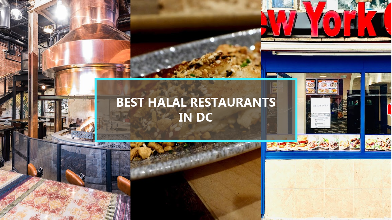 17+ BEST Halal Restaurants in Washington DC: Uncover the Hidden Gems Worth Trying This Year