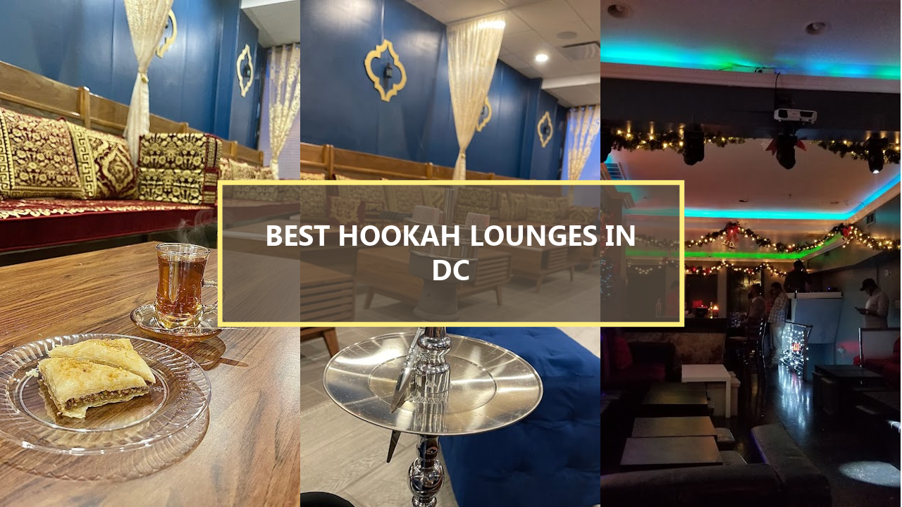 15+ BEST Hookah Lounges in Washington DC: Explore These Hidden Gems Before They’re Gone