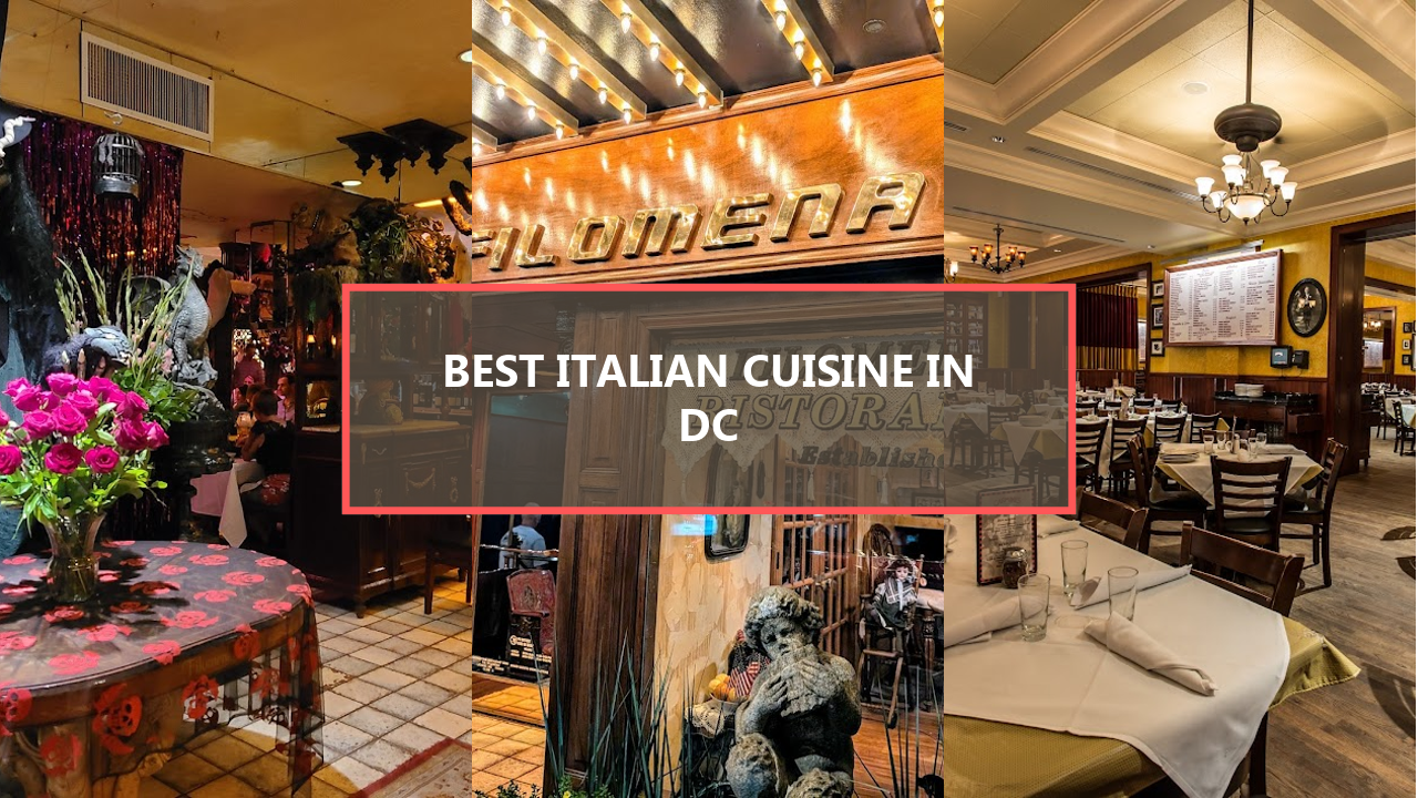 20 BEST Italian Cuisine Spots in Washington DC: Uncover These Hidden Gems Before They’re Gone