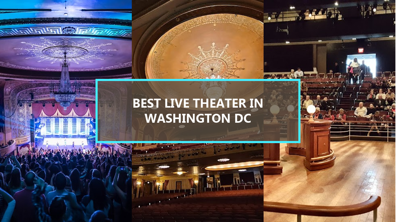 15+ BEST Live Theater in Washington DC: Must-See Shows Starting from $126