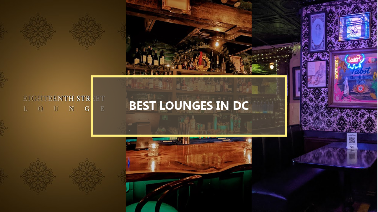 17+ BEST Lounges In Washington DC: Explore These Hidden Gems Before They’re Gone!