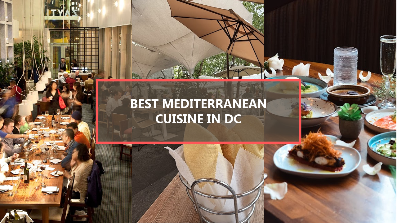 15+ BEST Mediterranean Cuisine in Washington DC: Uncover Hidden Gems You Should Try Before They’re Gone