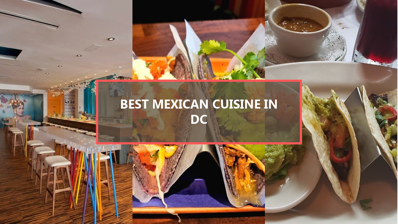 20 BEST Mexican Cuisine Spots in Washington DC You Need to Explore This Year