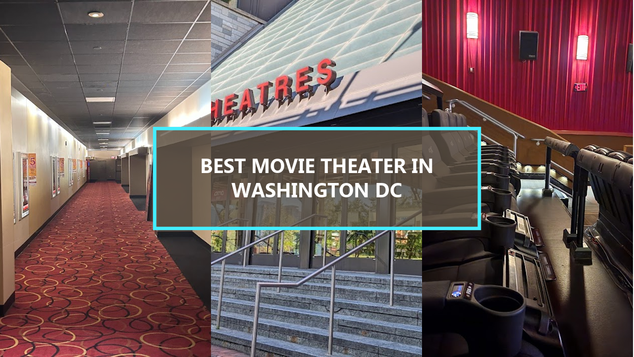 20 BEST Movie Theaters in Washington DC That Will Transport You to Another World