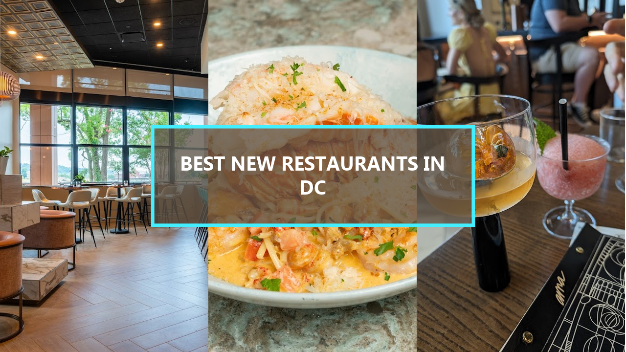 20 BEST New Restaurants in Washington DC: Discover Where Locals Swear By!