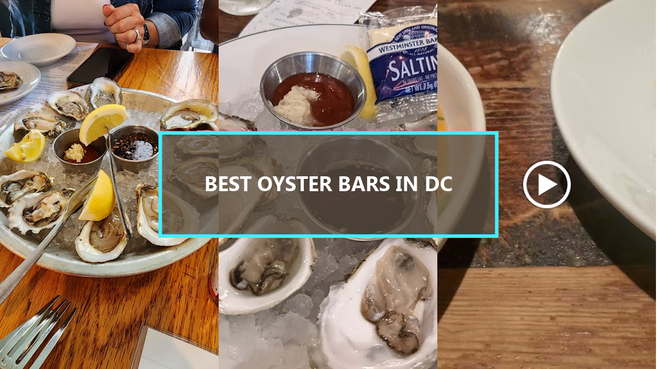 20 BEST Oyster Bars in Washington DC: Explore These Hidden Gems Before They’re Gone!