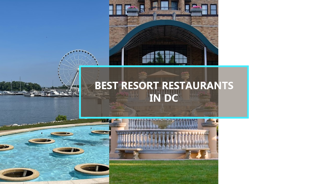 15+ BEST Resort Restaurants in Washington DC: Explore These Culinary Gems Starting from $126!