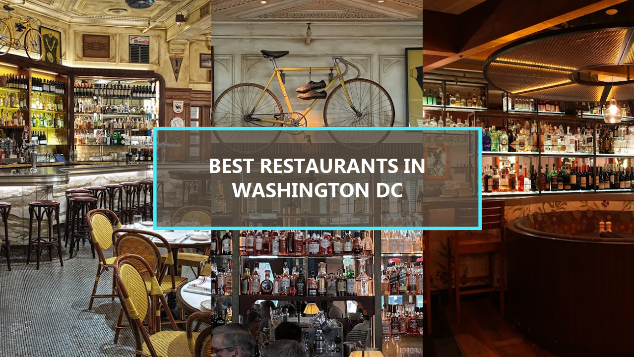 17+ BEST Restaurants In Washington DC: Explore These Hidden Gems That Locals Swear By