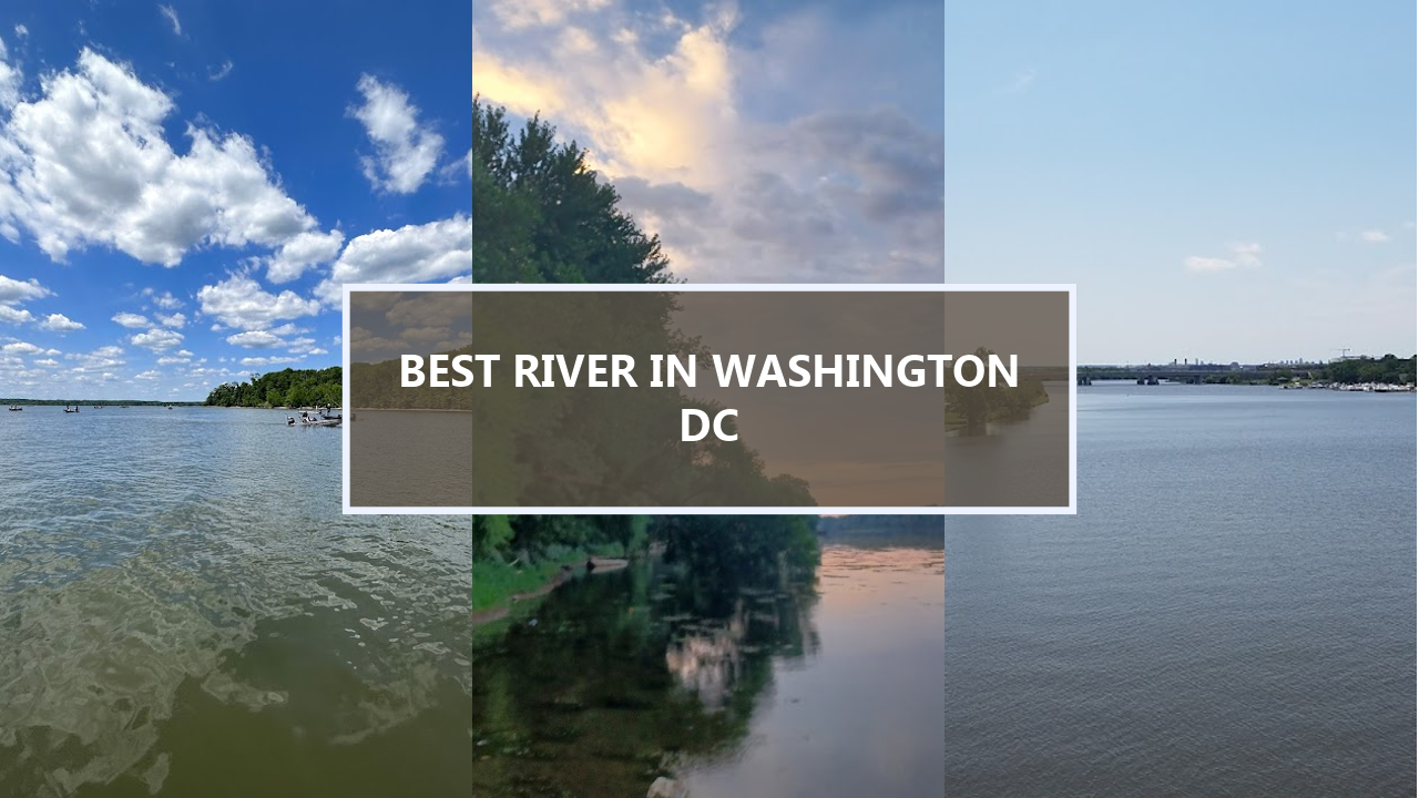 20 BEST River Views in Washington DC That Will Take Your Breath Away