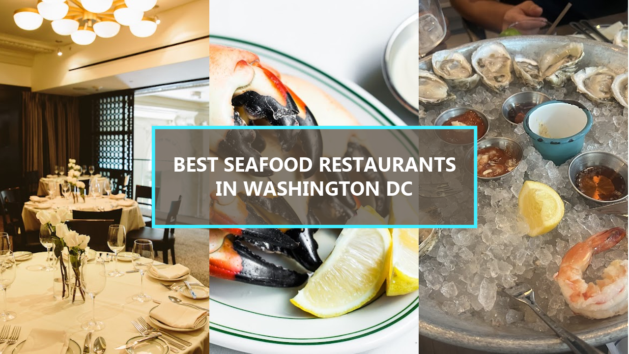 17+ BEST Seafood Restaurants In Washington DC: Uncover The Hidden Gems That Locals Swear By