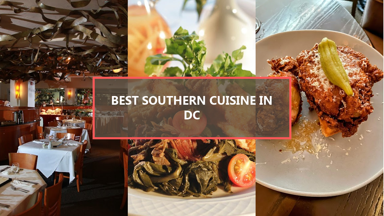 17+ BEST Southern Cuisine in Washington DC: Explore These Hidden Gems Before They’re Gone