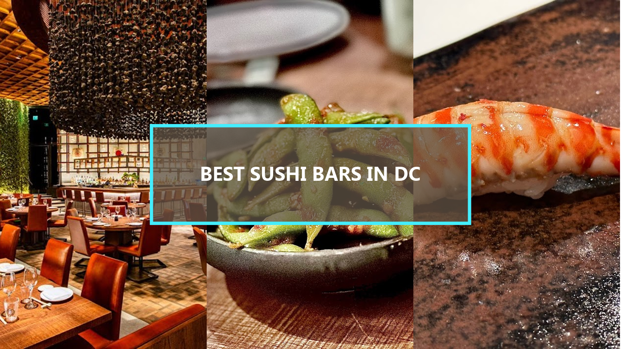 20 BEST Sushi Bars In Washington DC: Explore These Hidden Gems Before They’re Gone!