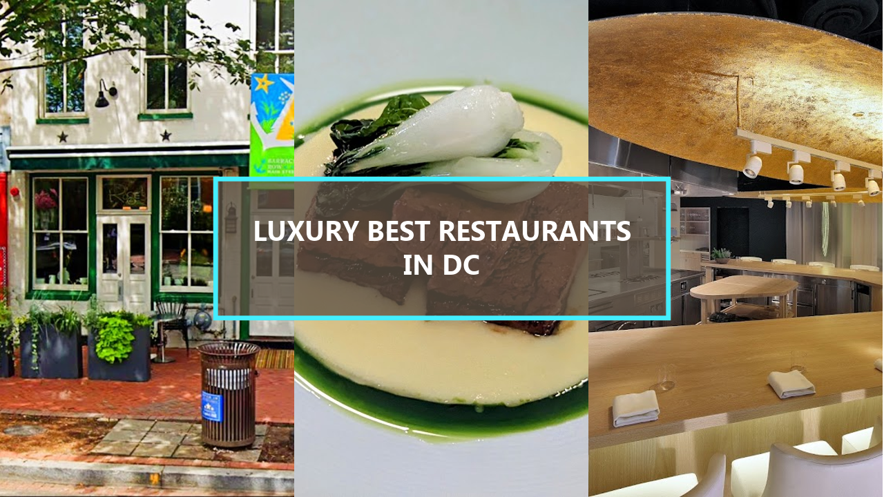 20 LUXURY BEST RESTAURANTS IN DC: Discover The Top Fine Dining Spots Worth Every Penny!